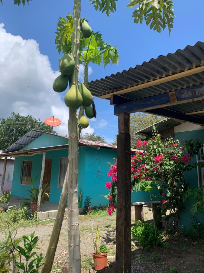 הוילה Puerto Jiménez Alba House מראה חיצוני תמונה